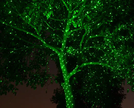 Laser Lights For Trees Mescar Innovations2019 Org