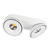 30W IP20 double heads angle adjustable led surface mount led ceiling light