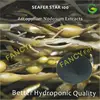 Organic Fertilizer, Hydroponic Solution