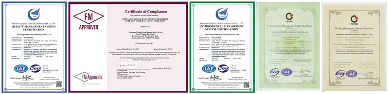 certificate.jpg