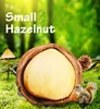 Organic nuts in shell low price in bulk shelled hazelnuts