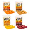 Vanilla Bean Noel Clam Shell Fragrance Scented Soy Wax Melts