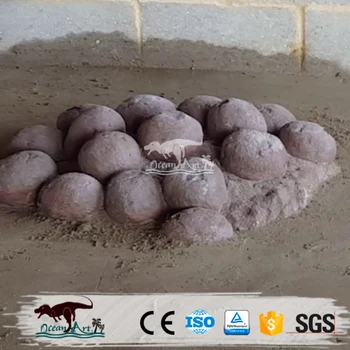 dinosaur eggs for sale