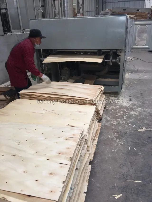 E0 Glue Wooden Lvl Slat/ Curved Lvl Bed Slats/ Flat Poplar Lvl In Best