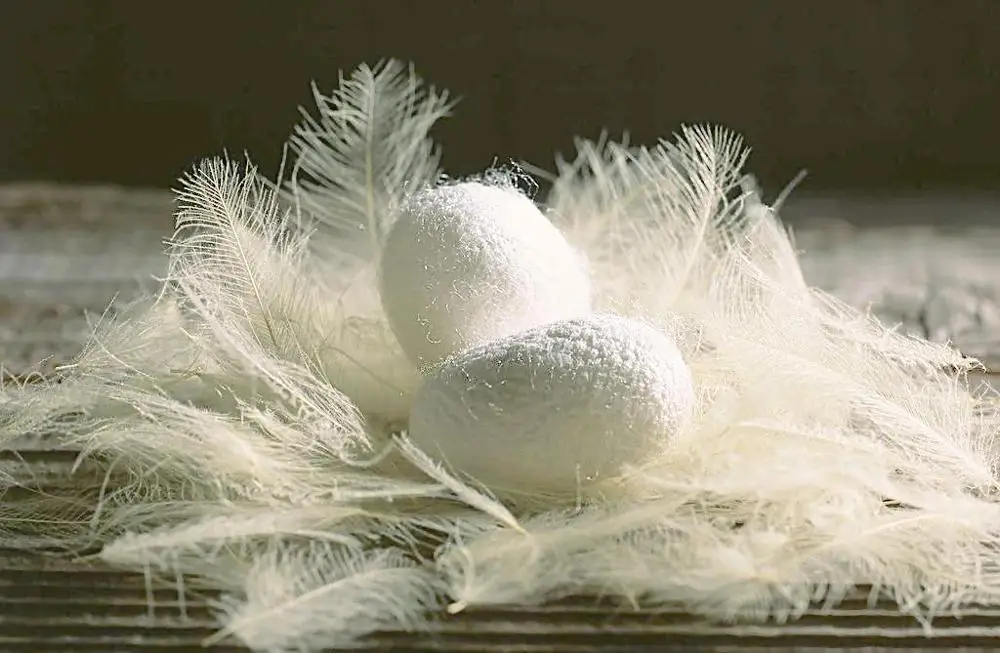 Silkworm Cocoon For Cosmetology And Skin Care Products