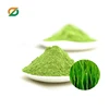 Dietary fiber young barley grass juice powder barley grass powder in bulk