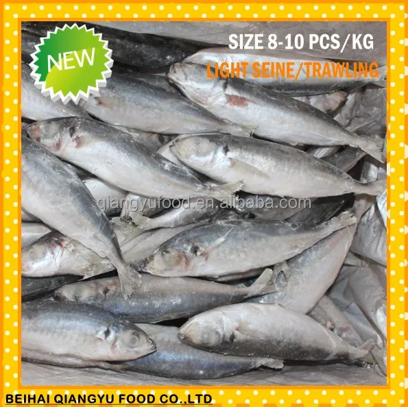 frozen fish small eye horse mackerel size 80-100 100-120 120-140