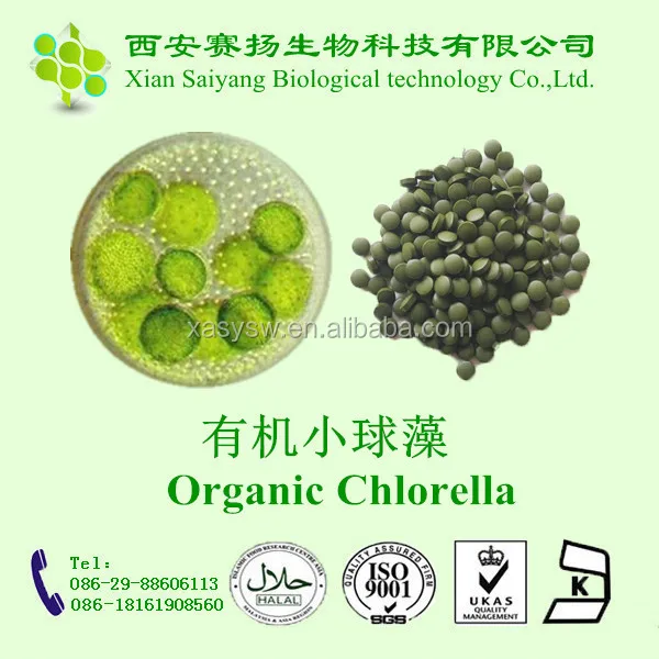 Taiwan Chlorella,Green Gem Chlorella,Bulk Chlorella Buy Taiwan