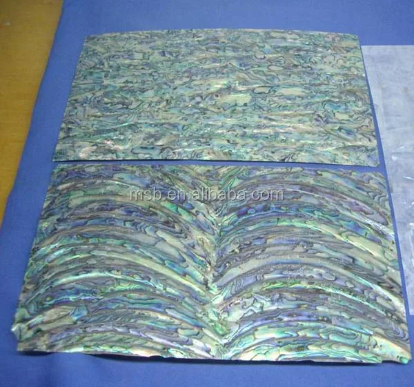 abalone shell paper.jpg
