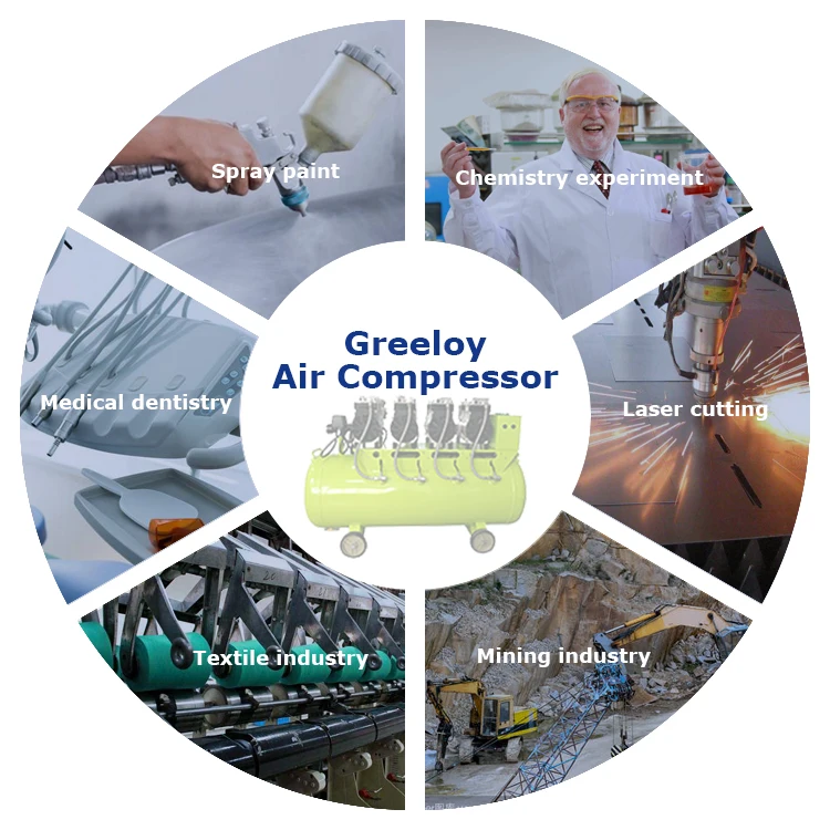 2hp Oilless Medical Grade 60l Air Compressor For Dental Chairs Use