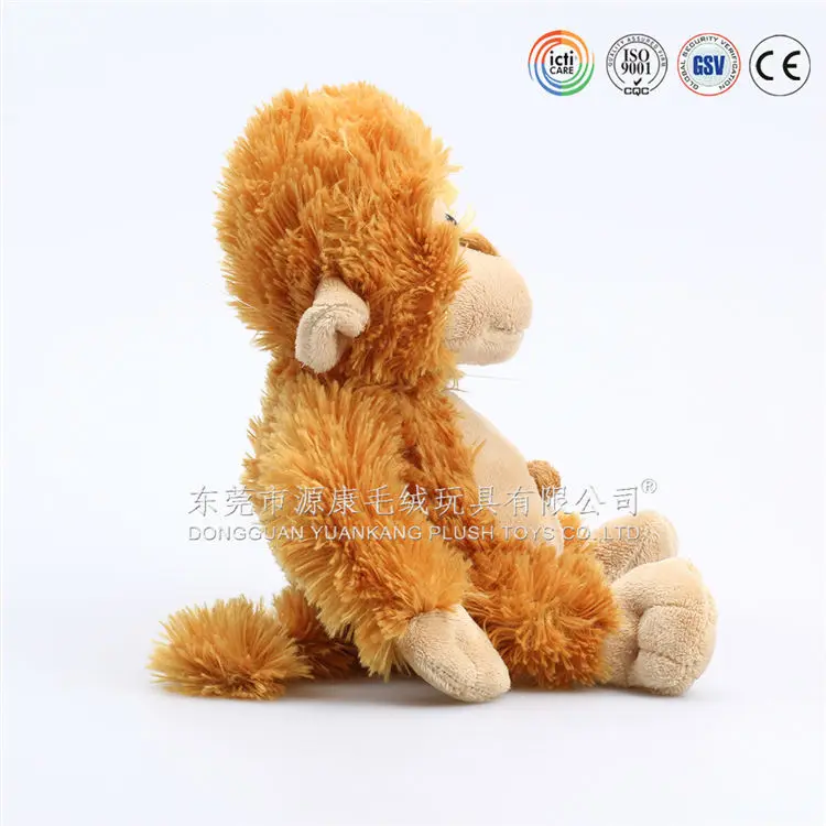 Import All Kinds Of Baby Squirrel Monkey For Sale Uk Buy