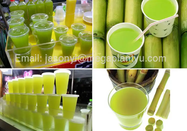 Electric Power Ginger Sugarcane Juice Presser/sugarcane Juice