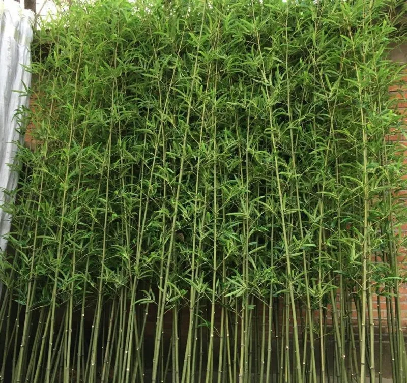 Fake Bamboo Garden Fence For Hedge Decor Buy Cheap