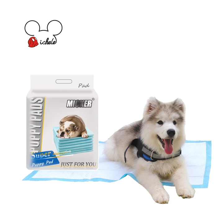 disposable dog mats