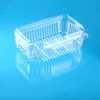 China Supplier Disposable Plastic clamshell grape packing box with hinged lid