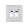 China Manufacture Price RJ45 Dual Port Faceplate, Network Face Plate
