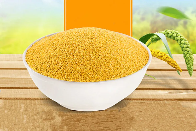 Wholesale Yellow Millets with Cheapest Price