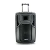 Professional active stage speaker wireless voice amplifier with rechargeable battery and wireless mic