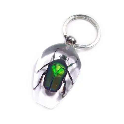 insect keychain
