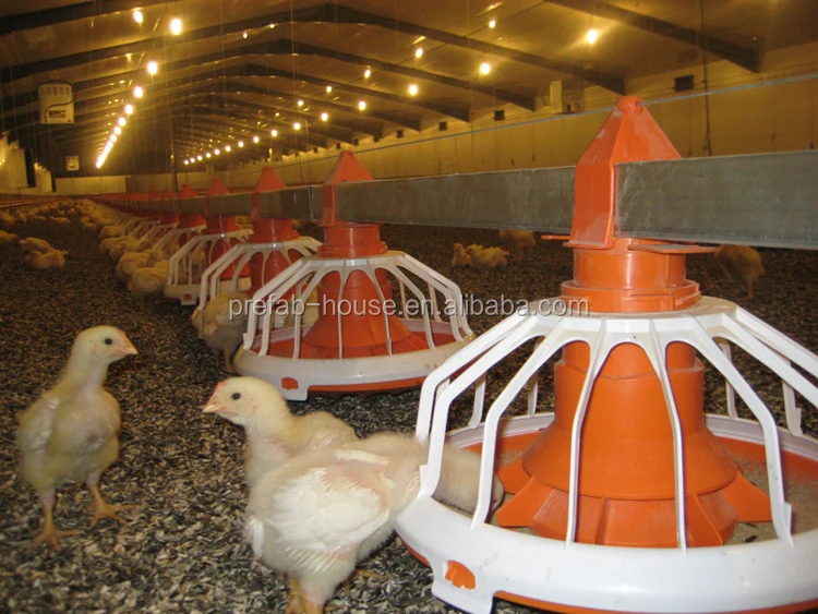 Hot dip galvanized BV test heat proof poultry shed construction farm on rent in nashik industrial chicken house