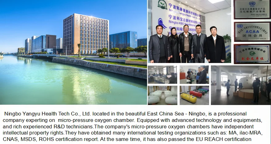 paste-pic-dp_uuid_224di