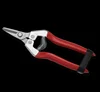 2017 garden grape scissor fruit shear pruning shear,Steel Agriculture Garden Plant Branch Cutting Scissors/ Pruning