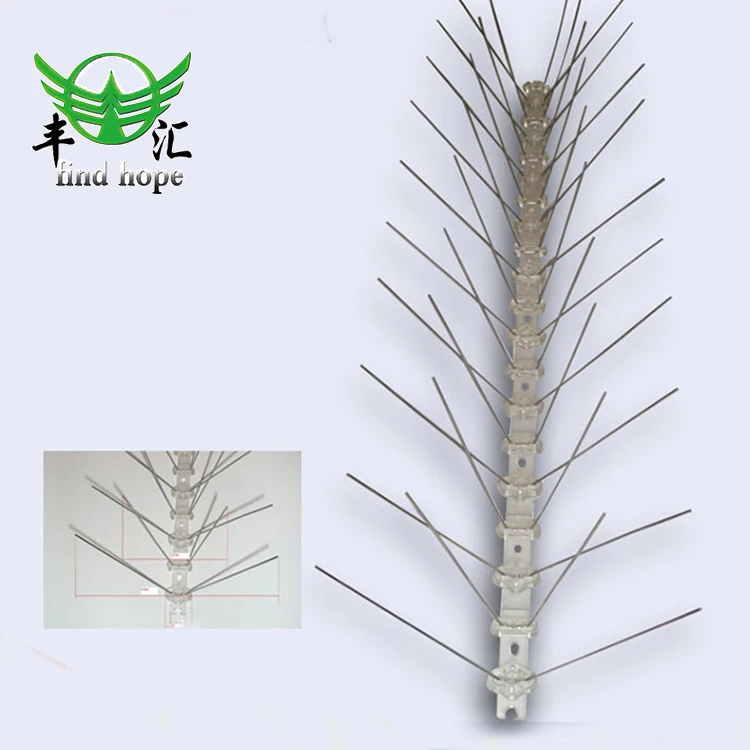 bird control spikes.jpg