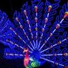 OAL6036 Hand Made Fashion LED Lantern Lights