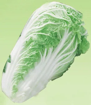 Chinese cabbage2.jpg