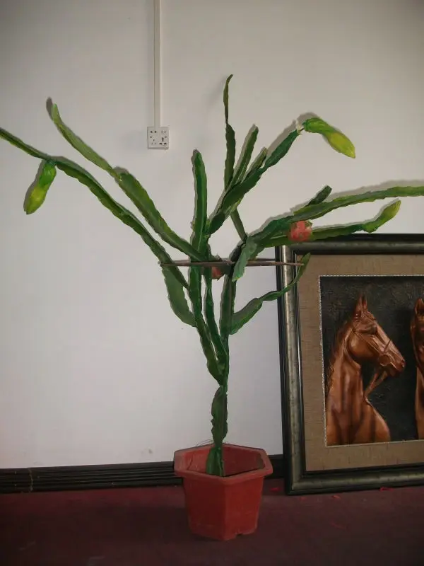 A Melhor Qualidade Plantas Artificiais Artificial Pitaya Hot Venda De Fruta Do Dragão Buy Imitation Bonsai Dragon Fruit Plant For Sale Red Dragon Fruit Product On Alibaba Com