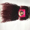 Brand new heat resistant babe curl synthetic hair braids expression for braiding