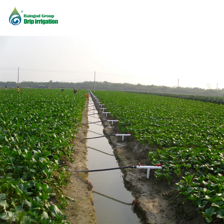 Agricultural Pe Cylindrical Drip Irrigation Pipe Making Machine Buy