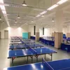Factory shop PVC sports flooring Vinyl table tennis floor with whole web lowest price