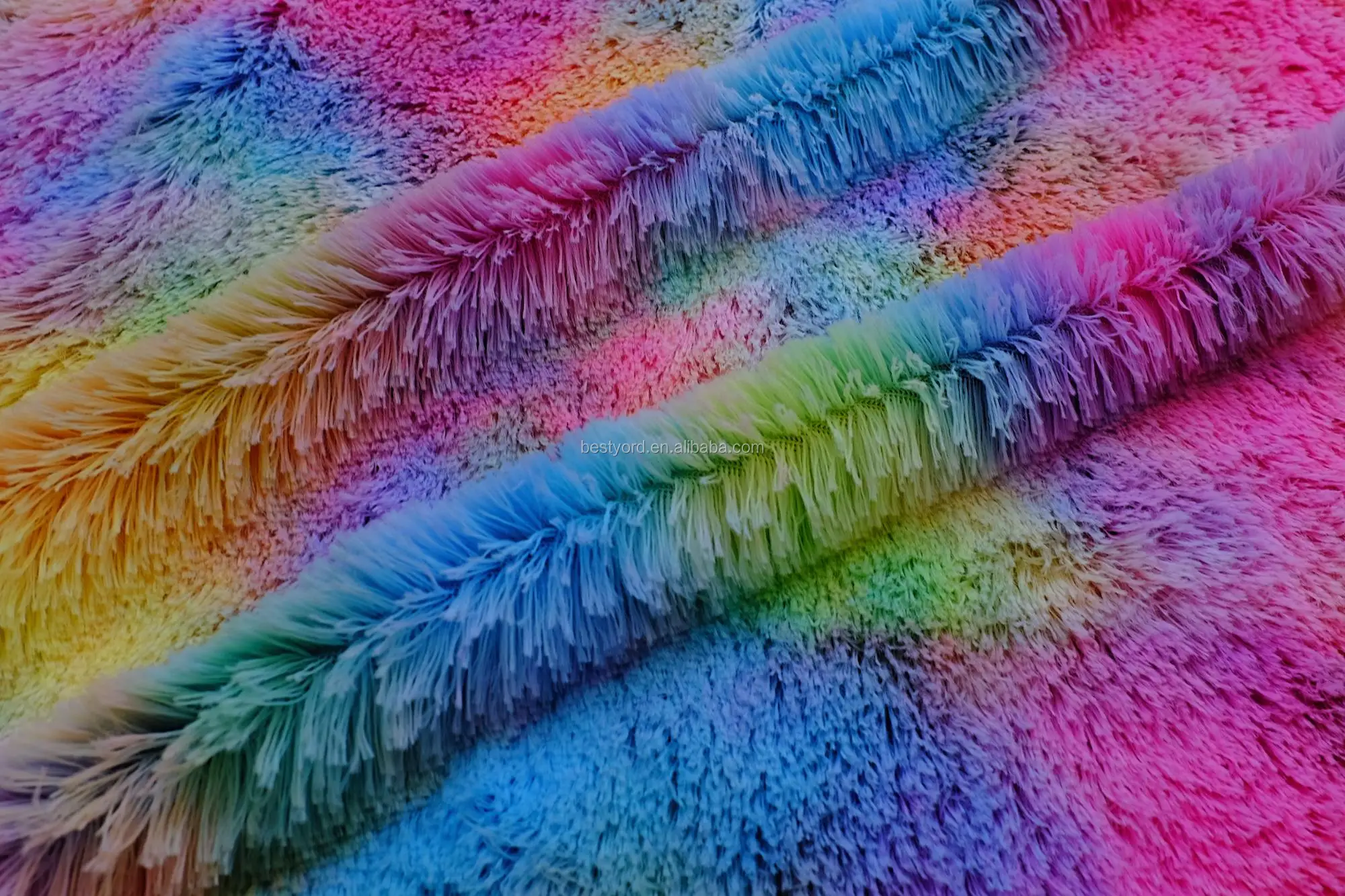 DSCF6658