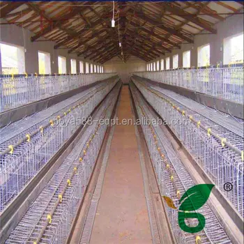 High Quality Automatic China Industrial Chicken Coop Hen House - Buy ...