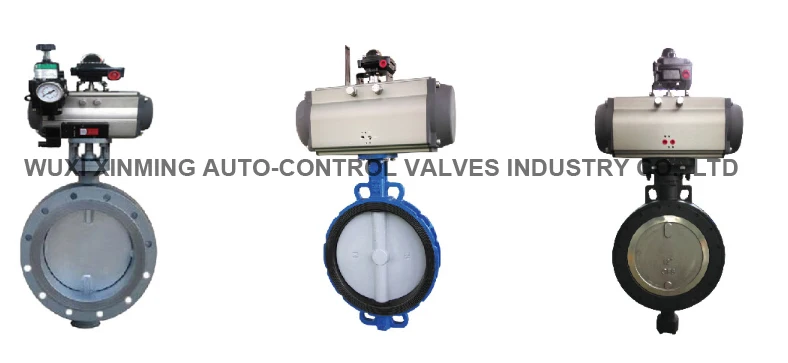 Butterfly Valve Group