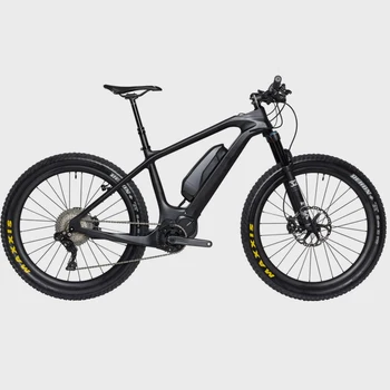 hardtail e bikes 2019