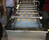 automatic air bubble washing machine cleaning machine for vegetable/fruit/apple/tomato/chilli pepper/date/cabbage