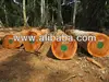 Iroko, mahogany, padauk, sapelli, doussie, pachyloba, wenge, bubinga, acajou, tali, teak logs, Sawn Lumber and deck
