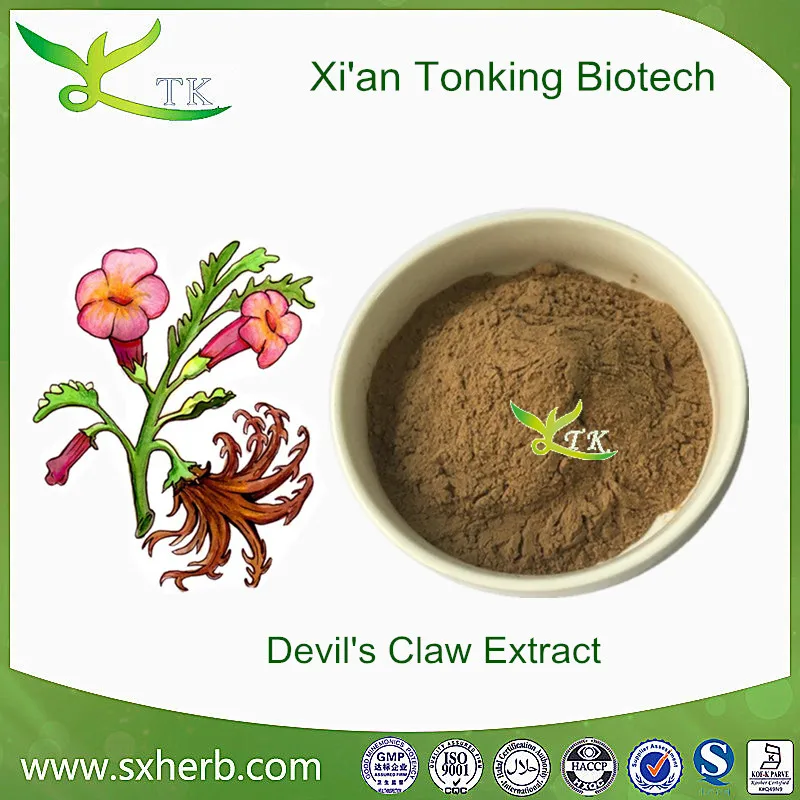 African Devil's Claw Herb Extract Harpagoside 3 Buy Devil's Claw