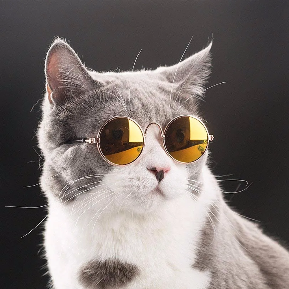 可爱有趣的宠物太阳眼镜经典复古圆形金属王子太阳眼镜猫小狗时尚服装