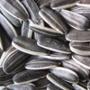 Export top high quality chinese sunflower seeds 5009,363,601,1121 type with different size