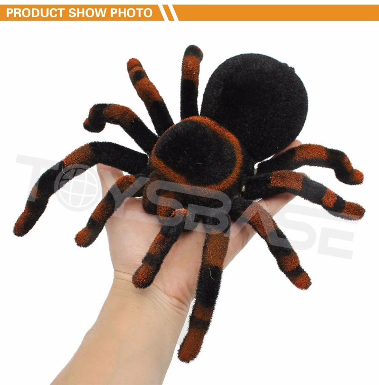 spider toy