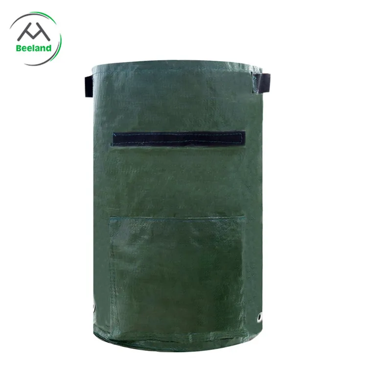 61M-ny9WTFL._SL1100_