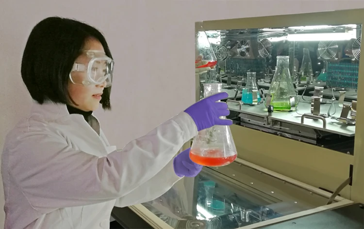 5-ST-205(R)(PLUS)-RENWU.jpg