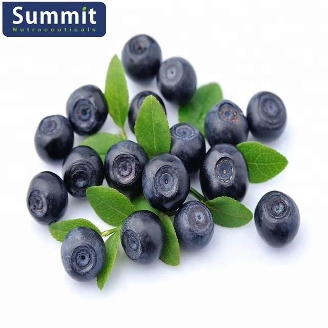 高品质越橘果实提取物 25% 花青素