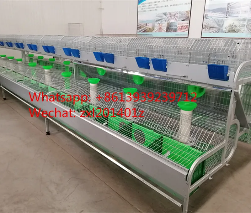 Commercial Rabbit Farm Cage For Sale Philippines Buy Commercial