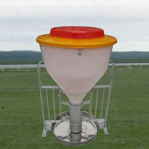 Automatic Feeders For Hogs Automatic Feeders For Hogs Suppliers