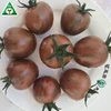 COLORFUL F1 High Resistance Seeds High Yield Hybrid F1 Cherry Tomato Seeds Red Tomato Seeds