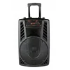 12 inch karaoke party speaker with lithium battery